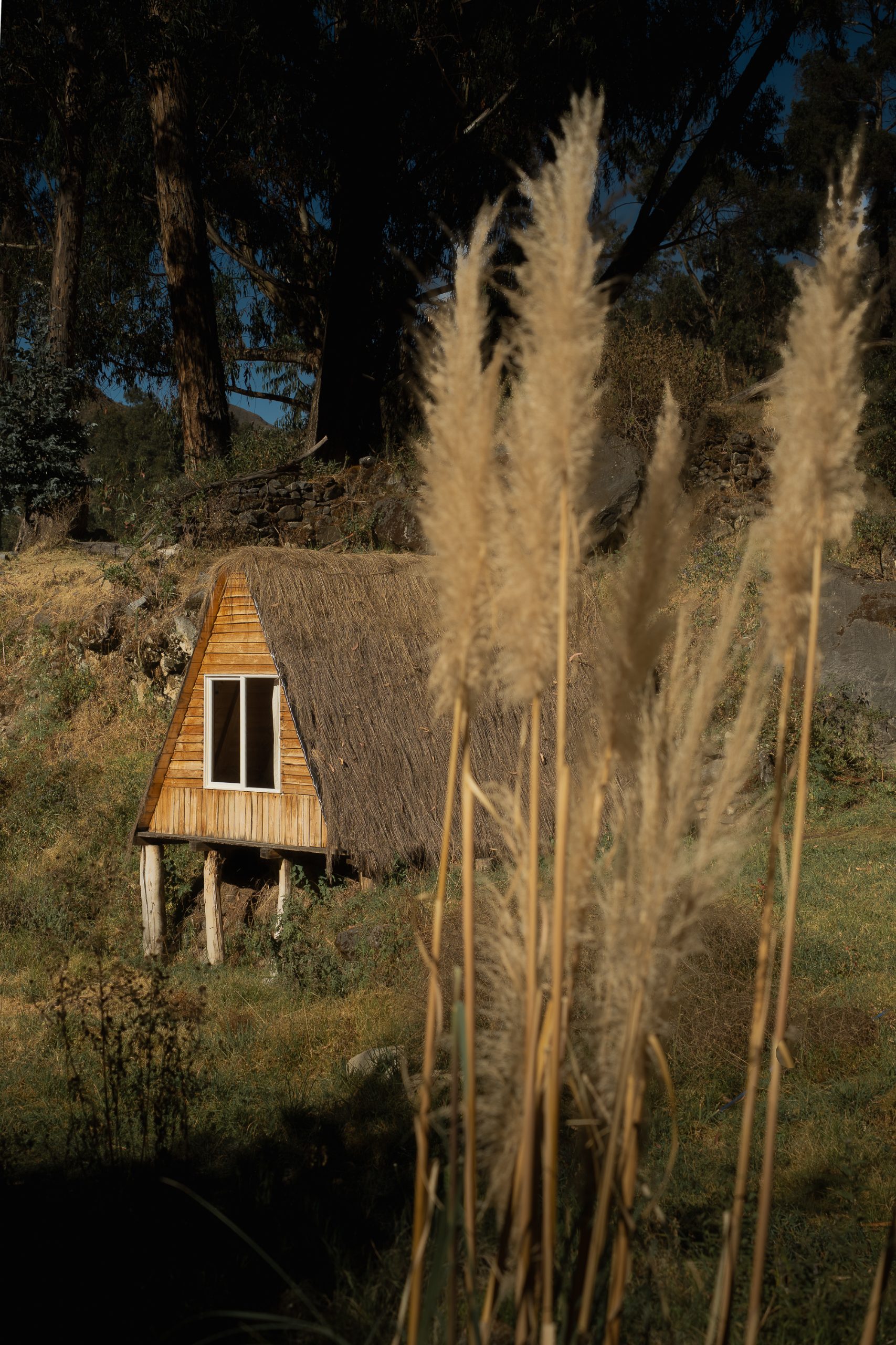 Vista aérea de cabaña en bosque de eucaliptos con arroyo en Huancaya Glamping